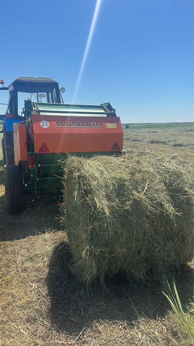 Продам сено в рулонах
