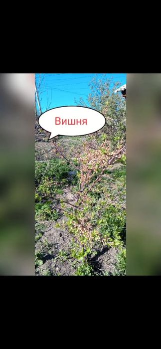 Продаётся деревянный дом