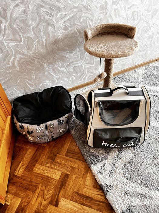 Отдам кошечку отдам кошечку