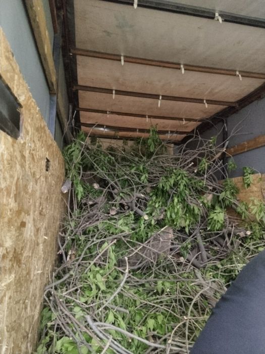 Агаш отын 1 газель