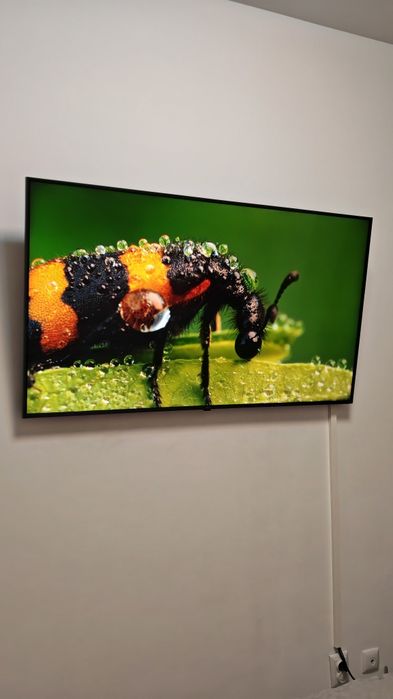 Televizor Smart TV LG 4K (139 cm) - Impecabil + Suport perete CADOU