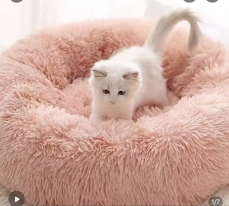 Лежанки для животных