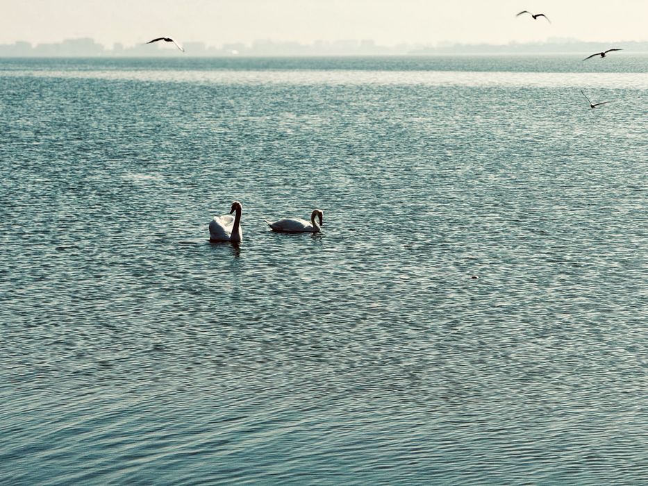 Vand teren Siutghiol Ovidiu