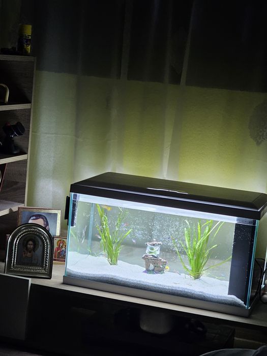 Acvariu 60 l cu capac