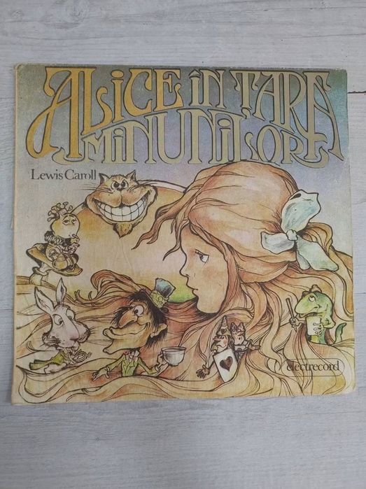 Lot discuri vinil