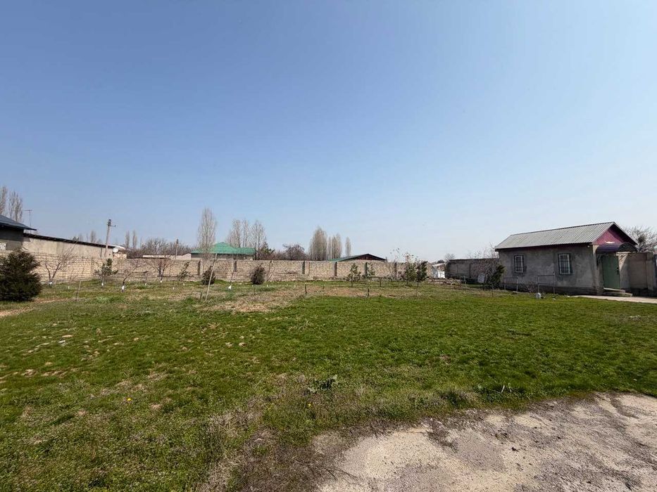 16 соток земли у воды рядом с Ташкентом — всего 13 км от круга Рохат