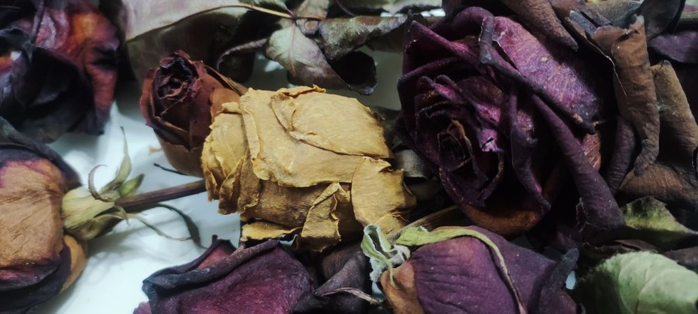 Куриган гуллар смола учун