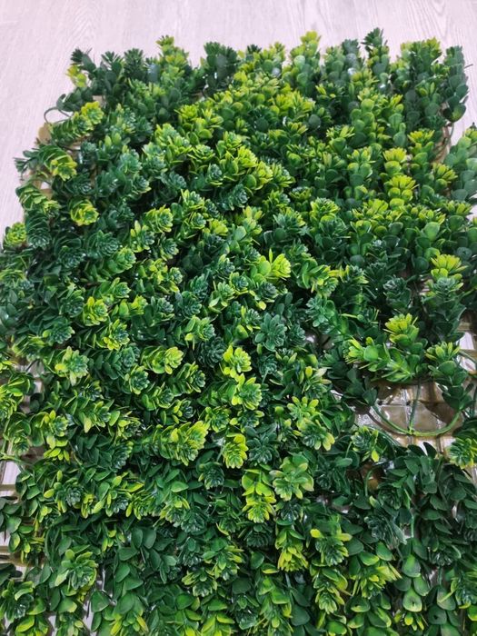 Sun'iy gazon, dekorativ gullar va tosiqlar sotiladi!
Yil bo'yi yashil