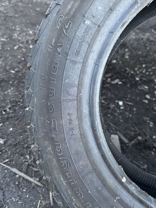 Продам шины tunga