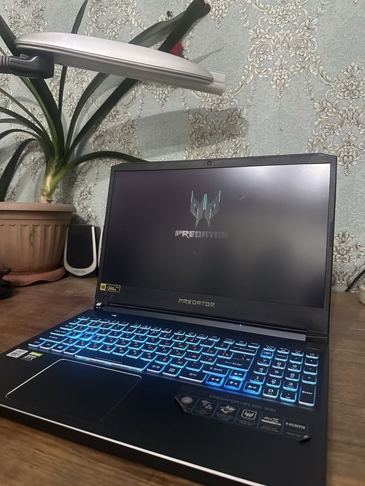 Acer Predator Helios 300
