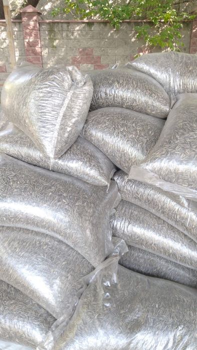 Продам семечки 700 тг за 1 кг