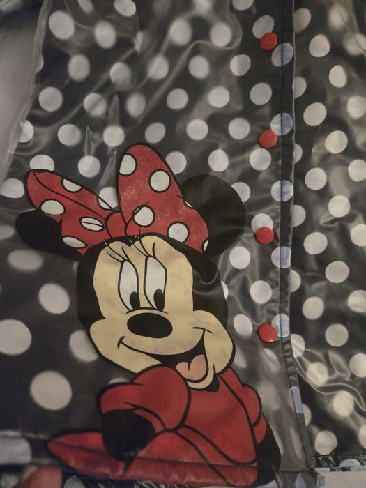 Masura 98.104,gecuta si combinrzon disney