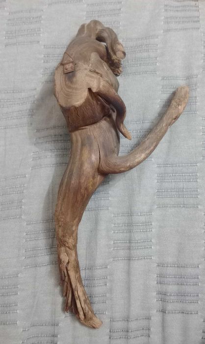 Sculptura naiva in radacina lemn driftwood 40 cm.