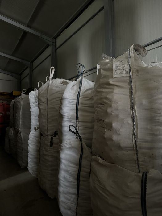 Sfecla rosie ridichie