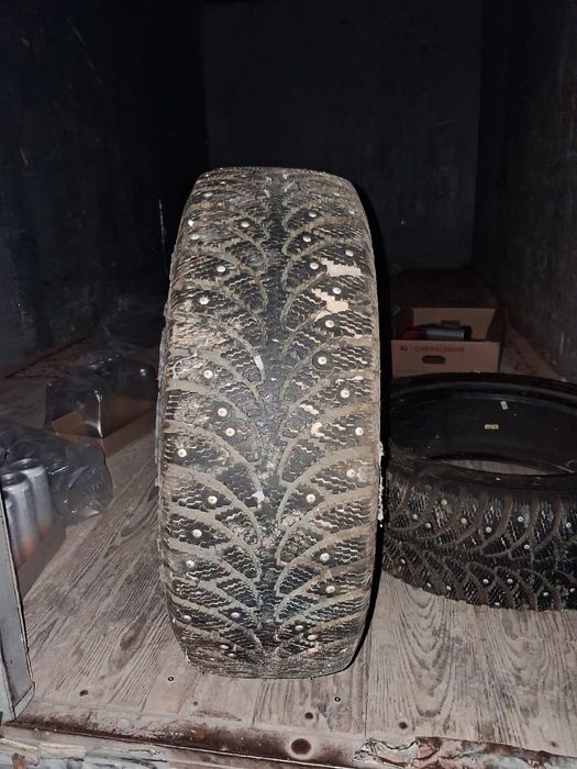 Шина жаксы куйде тур