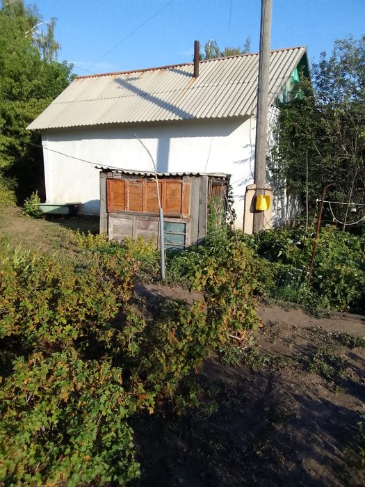 Дача. Общество"Дружба"