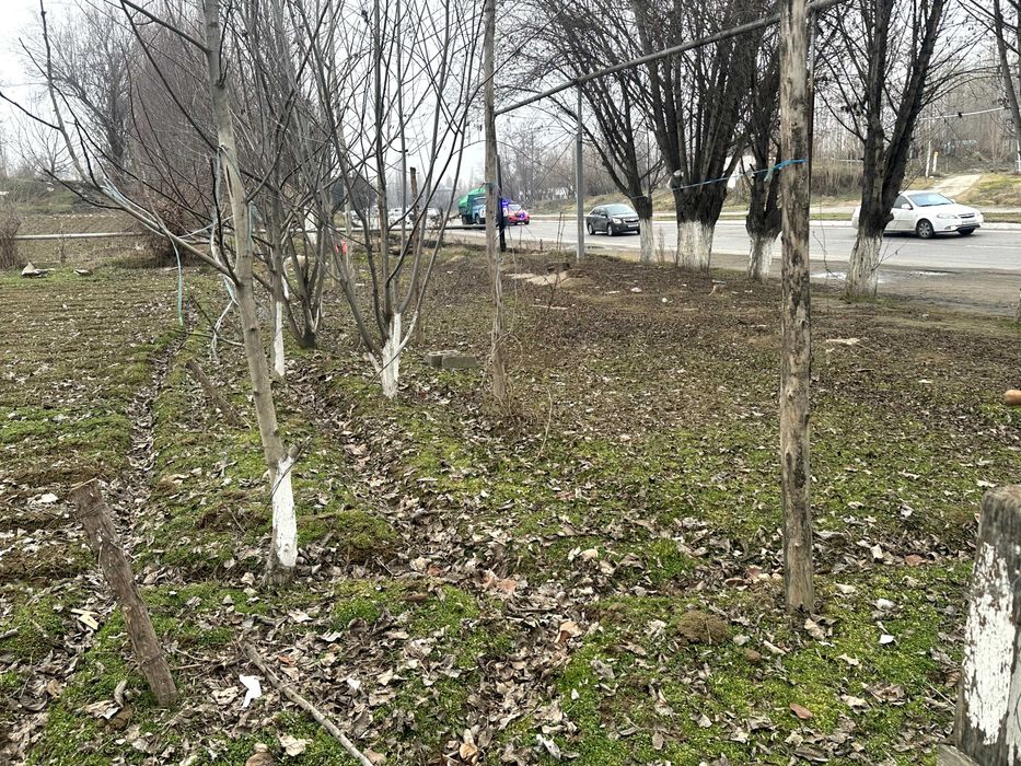 Yangiyo'l tumani M39 betonkani yoni 24 sotix