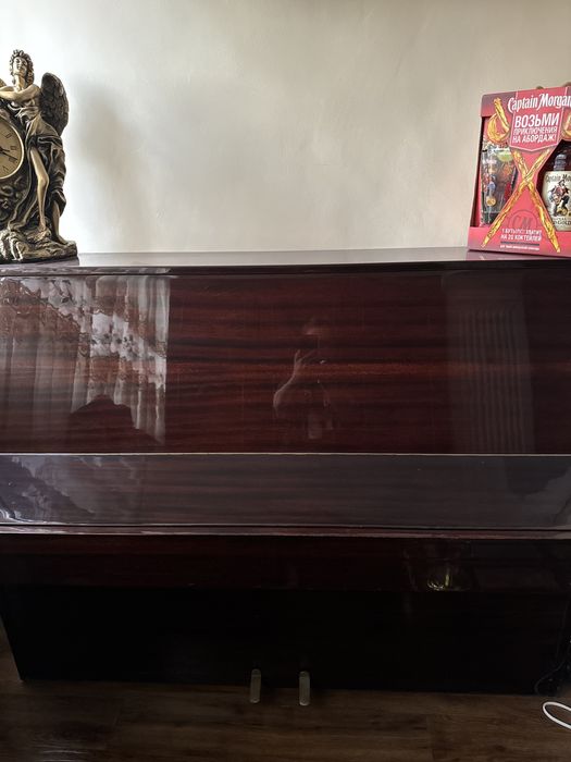 Фортепьяно Rica пианино