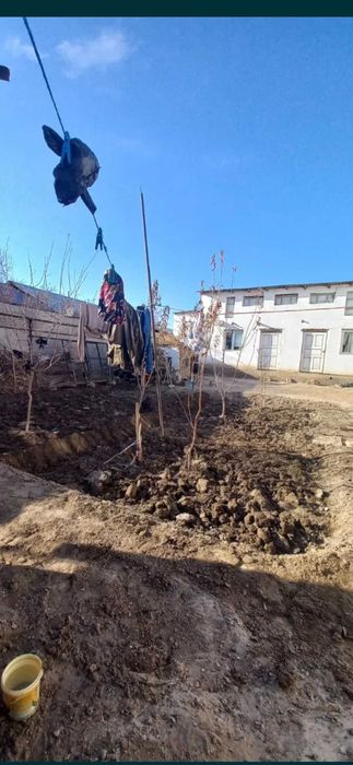 Хожели мясокомбинатта жай сатылады 360 млн