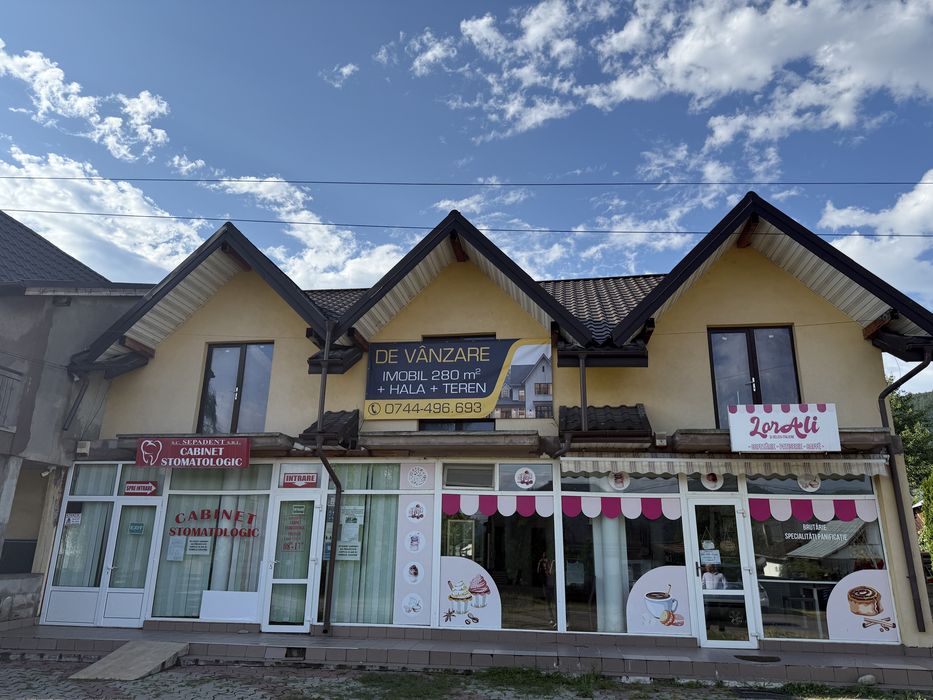 Spatiu Comercial + Hala + Teren de Vanzare