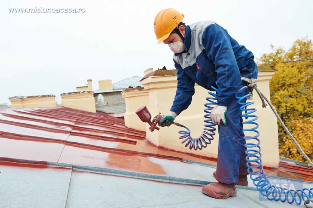 Vopsit tabla acoperis reparatii țiglă metalică Bilka foișor terasa