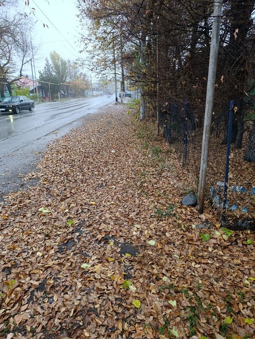 Продам дом  в центре Есика