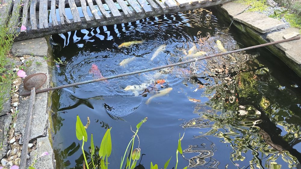 Продава се Къща в Разград, Васил Левски - 120 кв.м за 1192 €/кв.м - Снимка #10