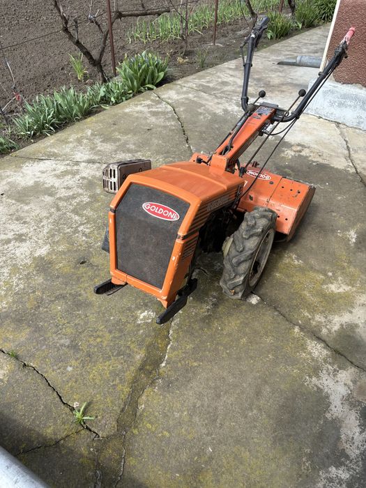 Motocultor Goldoni Jolly Junior Profesional