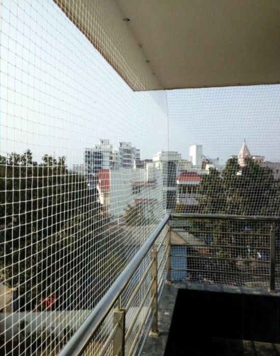 Почистване от гълъби Варна. Борба с гълъби.