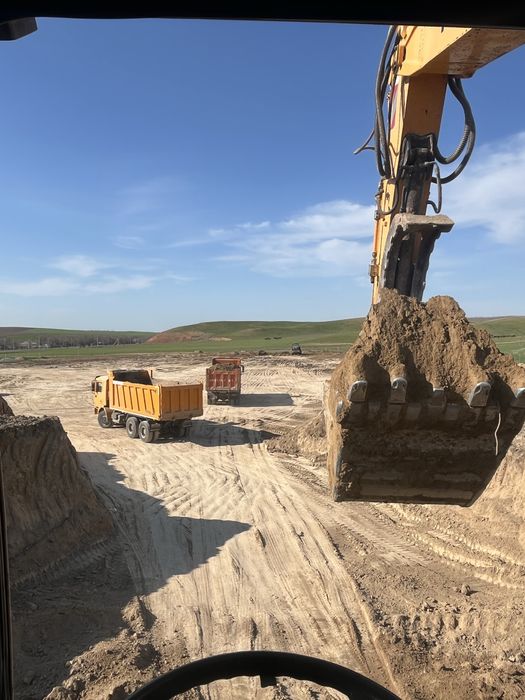 Суслиги эксковатыр