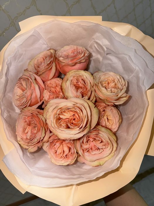 цветы новый 11шт