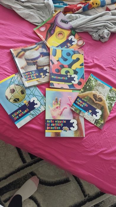 Lot manuale  clasa a 3a editura litera