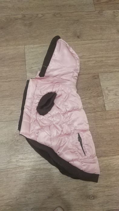 Одежда для животных