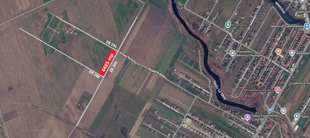 Teren 4465 mp Str. Nuferilor, Vidra - Berceni, Ilfov