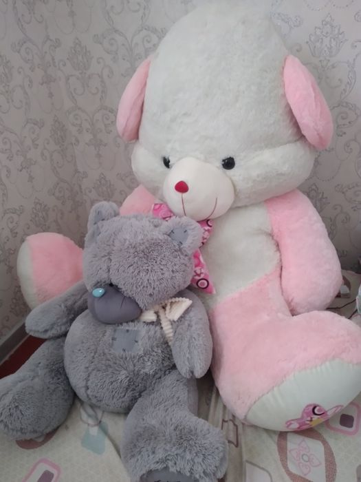 Таза мишка и тедди