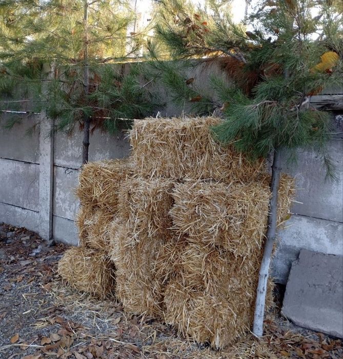 Солома на Хэллоуин, фото зона