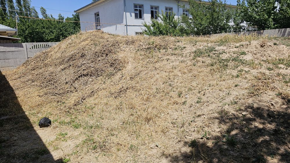 Tekinga toza tuproq bor