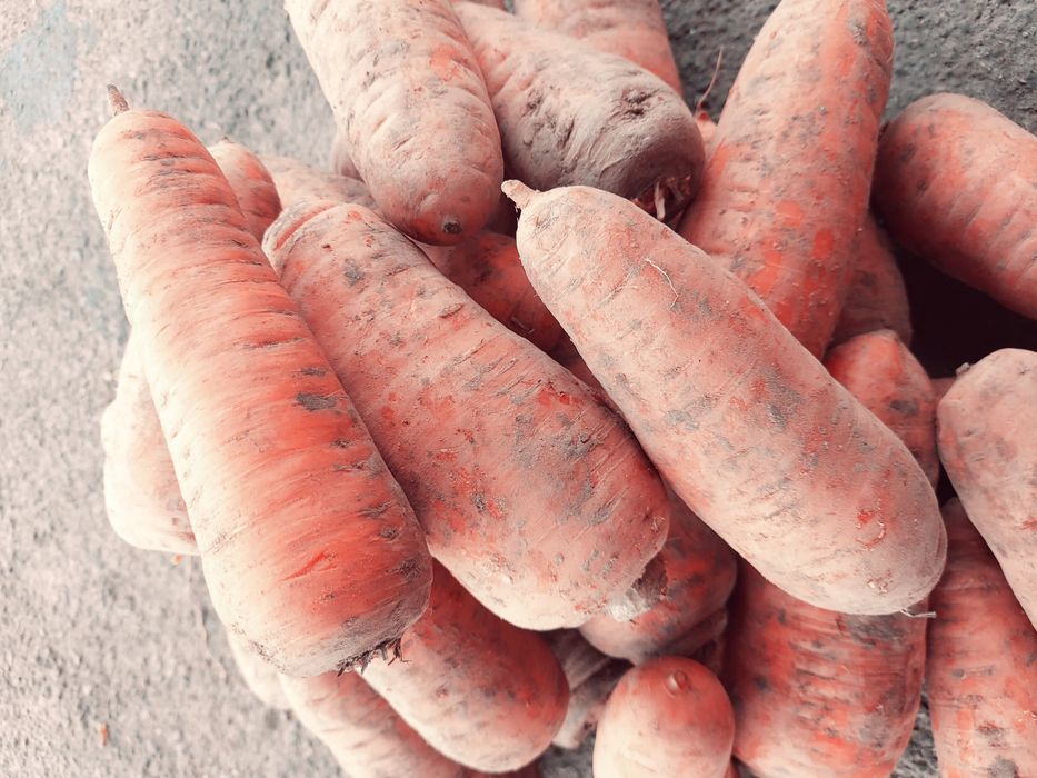 Продаём овощи мешками