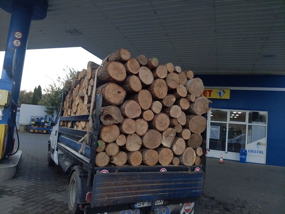 Vând lemne de foc esență tare stejar uscat tăiat gata