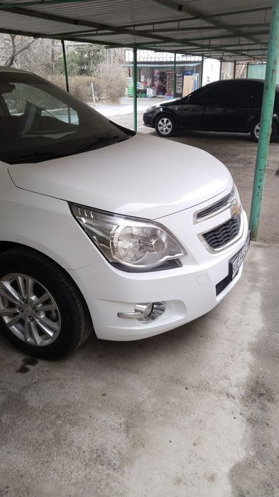 100 foiz garantiya radno y