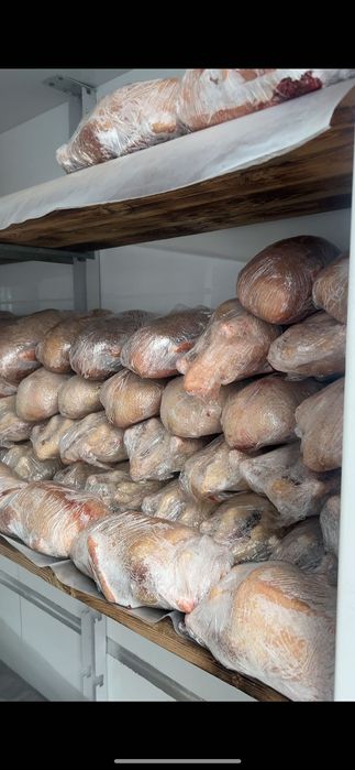 мясо уток ОПТОМ. куры оптом