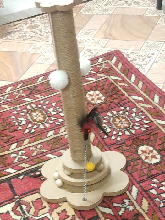 Когтеточка для кошки.