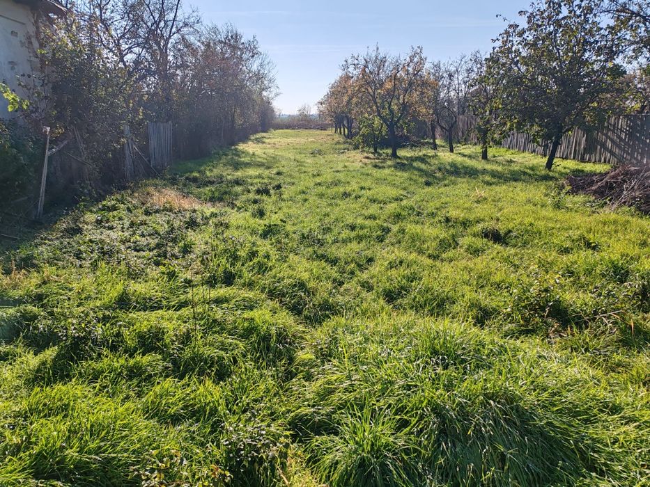 Teren Cateasca / pământ de casă