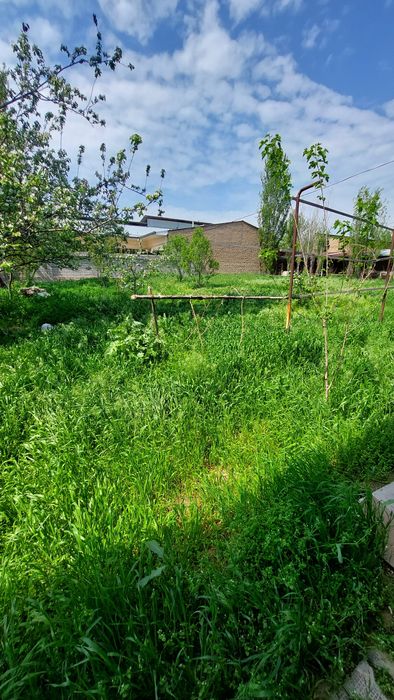 Тошкен тумани победада ер сотилади