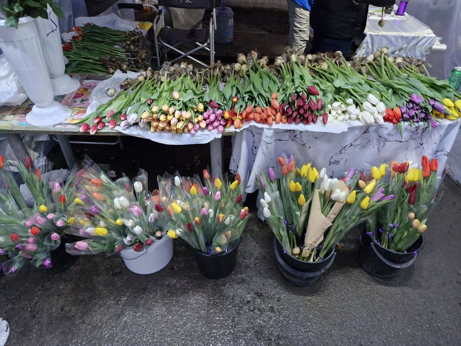 Тюльпаны Боралдай