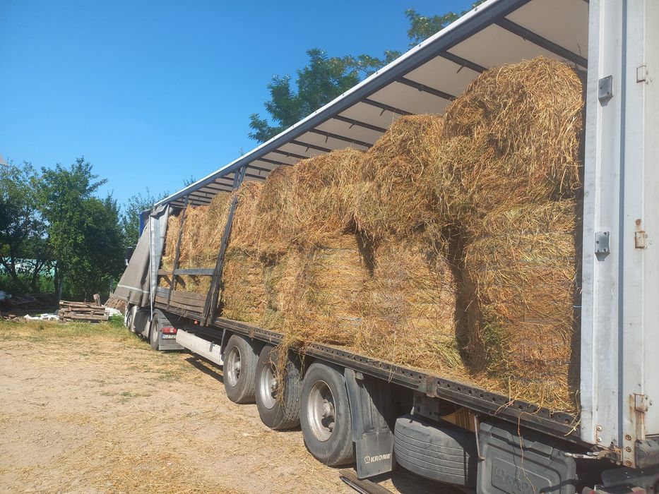 Baloti lucerna sau fan Livrare doar la TIR min 40 Rotunzi sau 500 dreptunghiulari Transport inclus RO HU UE