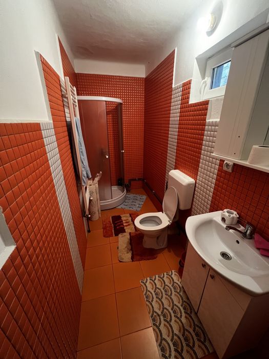 Proprietar vand casa in satul Harsesti