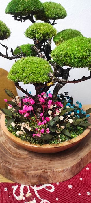 Бонсай със скандинавски мъх и стабилизирани растения!