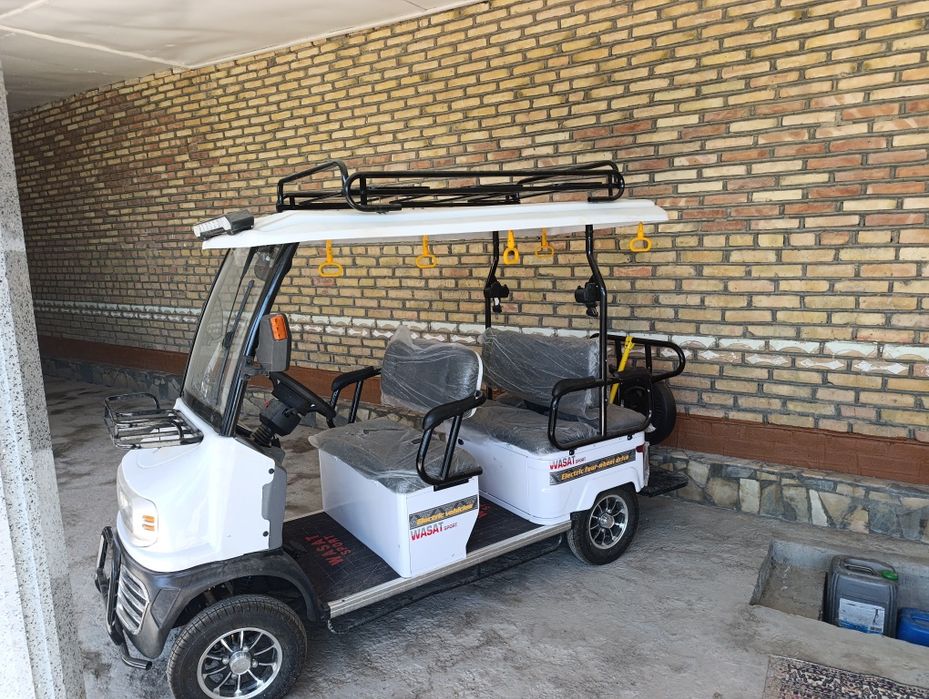 Elektrogolfkar..,