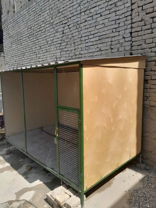 Mushuk va Qafas sotiladi